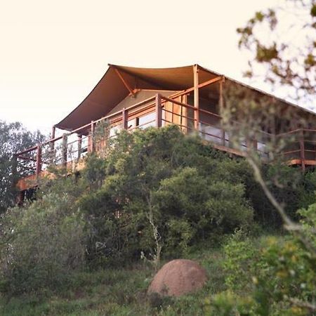 Addo Elephant Lodge & Safaris Kirkwood Dış mekan fotoğraf