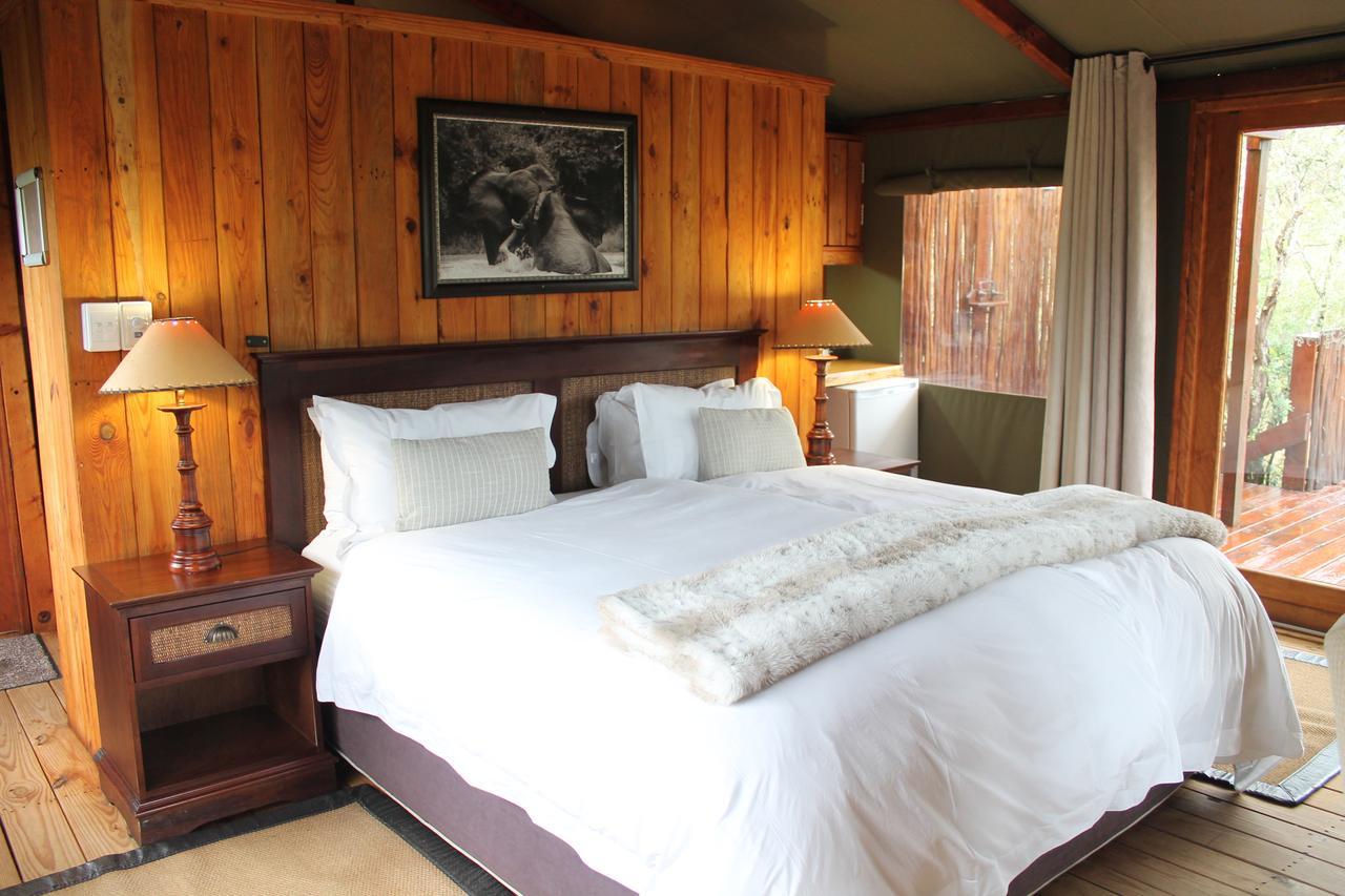 Addo Elephant Lodge & Safaris Kirkwood Dış mekan fotoğraf