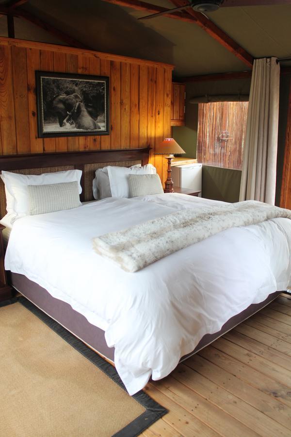 Addo Elephant Lodge & Safaris Kirkwood Oda fotoğraf