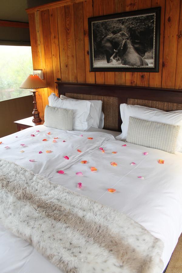 Addo Elephant Lodge & Safaris Kirkwood Dış mekan fotoğraf