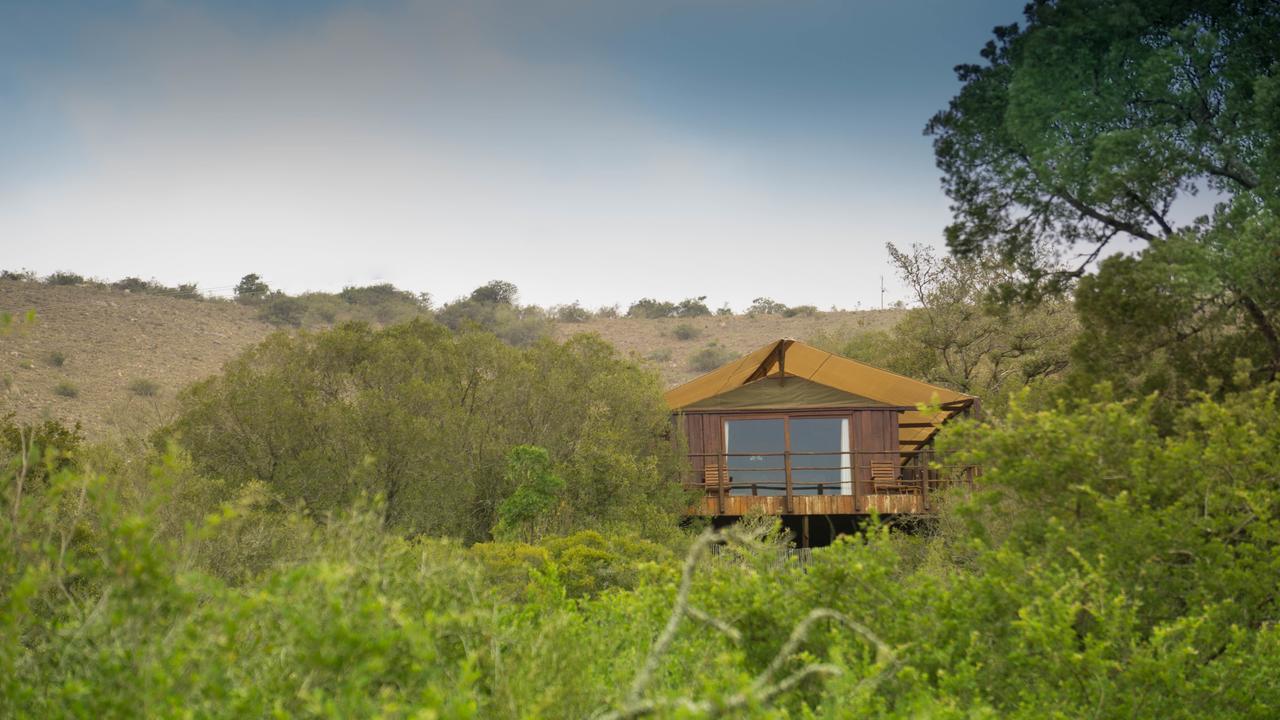 Addo Elephant Lodge & Safaris Kirkwood Dış mekan fotoğraf