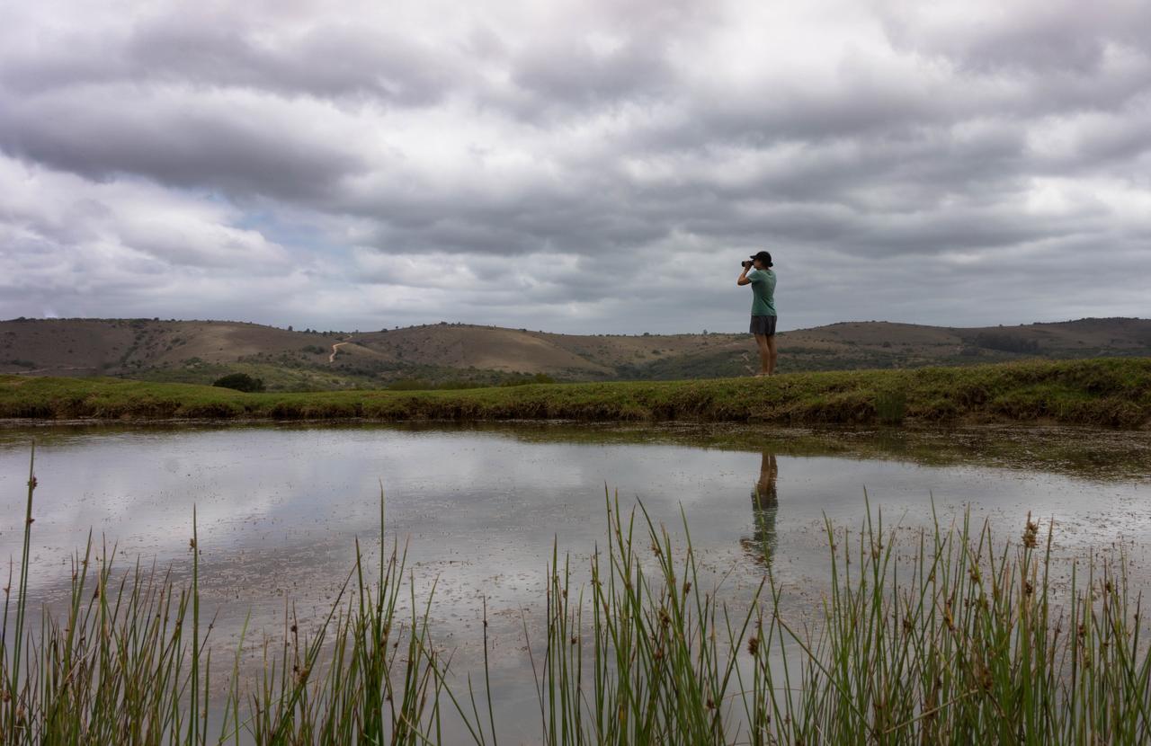 Addo Elephant Lodge & Safaris Kirkwood Dış mekan fotoğraf
