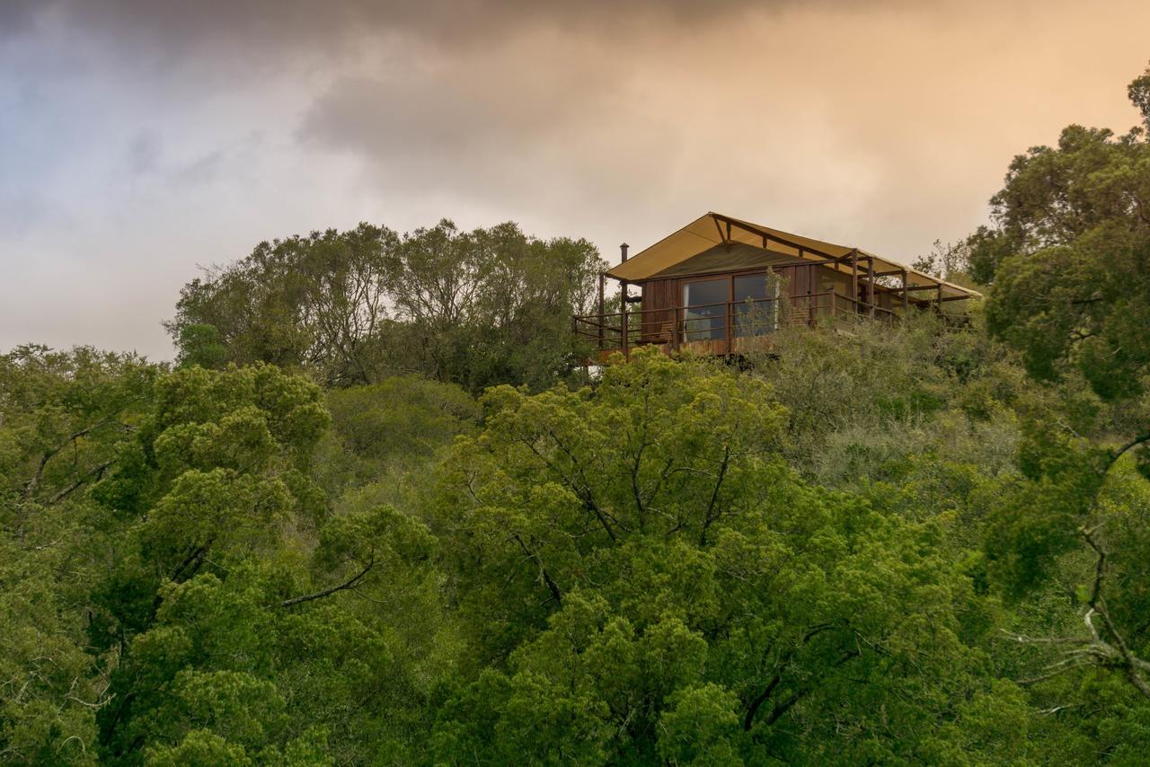 Addo Elephant Lodge & Safaris Kirkwood Dış mekan fotoğraf