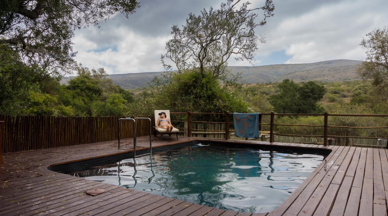 Addo Elephant Lodge & Safaris Kirkwood Dış mekan fotoğraf