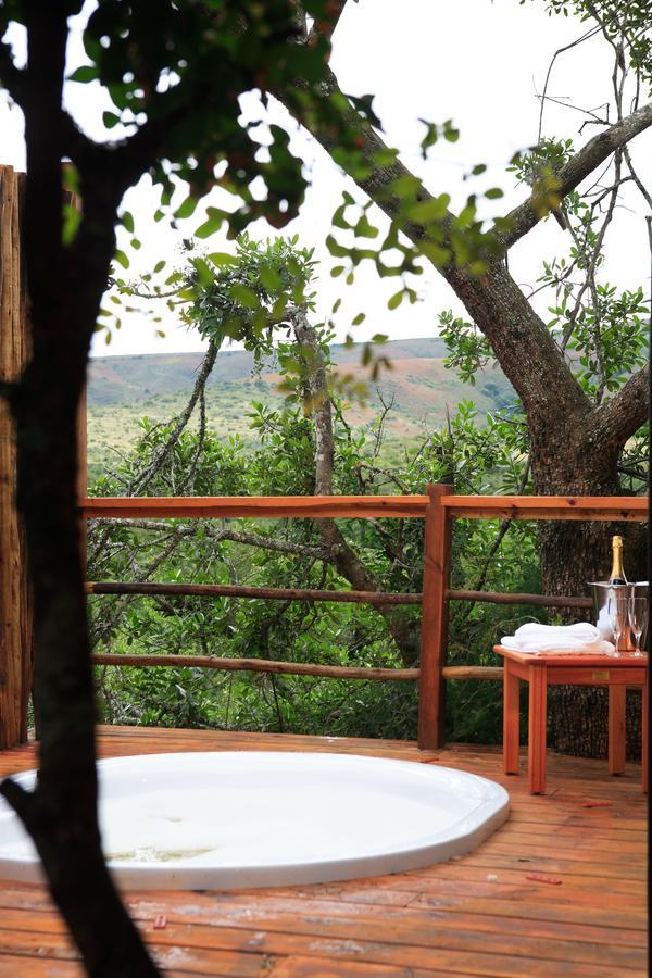 Addo Elephant Lodge & Safaris Kirkwood Dış mekan fotoğraf